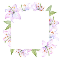 Square l frame with white and pink lily flowers, watercolor illustration