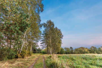 footpath in the field