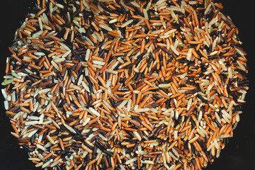 Mixed colors of different kind of rice. White Brown Red and Black.
