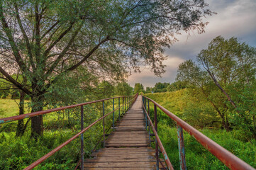 Bridge over a river in the summer forest