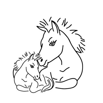 Black outline hand drawing vector illustration of a horse and a baby horse lying on a grass isolated on a white background