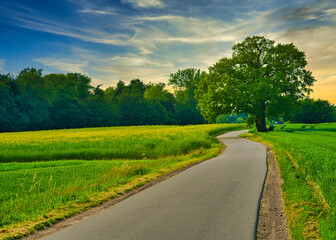 road in the countryside