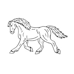 Vector hand drawn doodle sketch draft horse isolated on white background