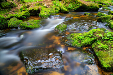 Long exposure smooth flowing water over rocks in forest © Aleš Rejnart