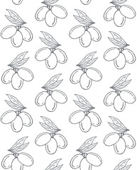 Vector seamless pattern of hand drawn doodle sketch olives isolated on white background