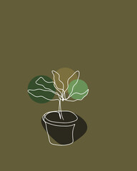 plant in pot