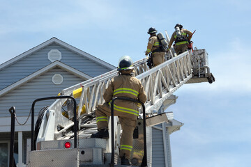 firefighters on a ladder fire brigade emergency 