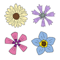 Vector set of hand drawn doodle sketch flowers isolated on white background