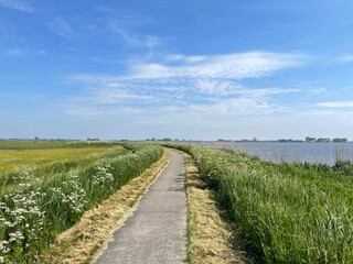Fototapeta na wymiar Path around a lake in Friesland