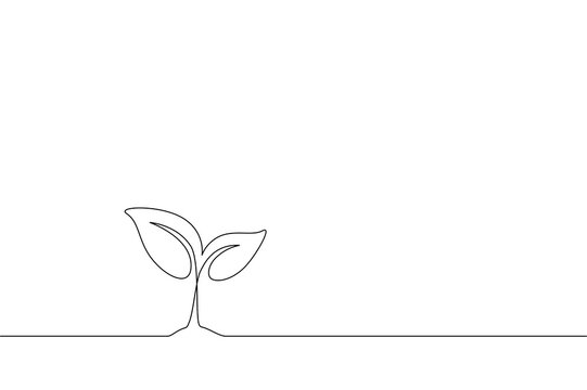 Growth plant in one Continuous Line Drawing. Sprout with leaves in simple linear style isolated on white background. Editable stroke. Vector illustration