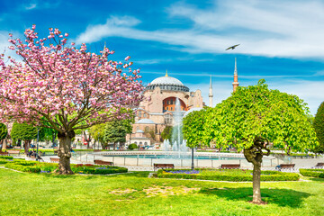 Obraz premium Hagia Sophia mosque, church, cathedral in Istanbul, Turkey