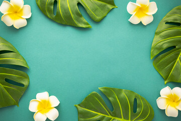 Summer background with tropical frangipani flowers and green tropical palm leaves on green...
