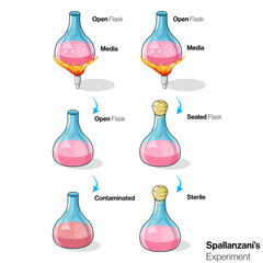 Spallanzani's Experiment of spontaneous generation illustration. 