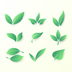 Green Leaf Set vector, isolated on white background , Vector illustration EPS 10