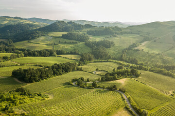 Aerial view of countryside bends vineyards hills and trees in Oltrepo Pavese