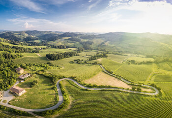 Aerial view of countryside bends vineyards hills and trees in Oltrepo Pavese - obrazy, fototapety, plakaty