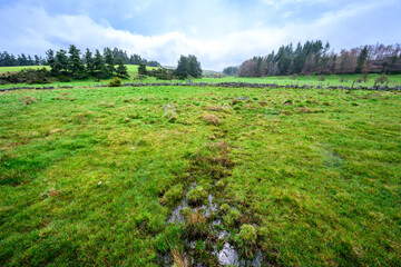 Obraz premium Lac du Moulinet