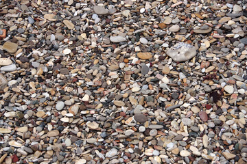 Field of pebbles on a California ocean beach