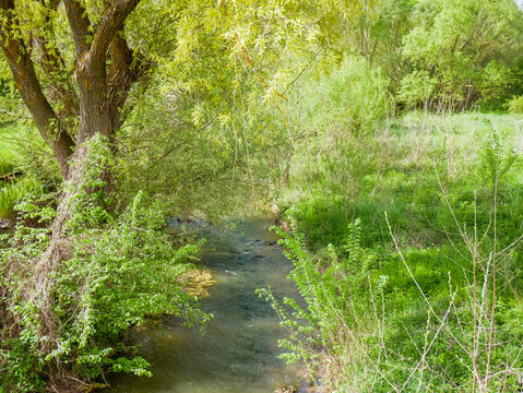 Bachlauf in Elenite