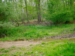 Matschiger Weg in der Nachbarschaft
