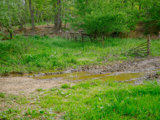 Matschiger Weg in der Nachbarschaft