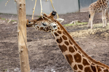 Promenade au monde sauvage d'Awaille