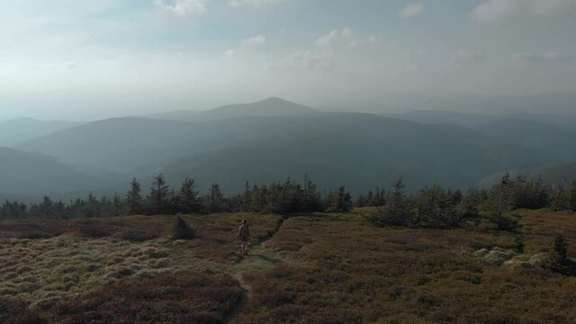 Woman hiking on the mountain peak Kr&aacute;lick&yacute; Sněžn&iacute;k, between Poland and the Czech Republic drone tracking video in 4k, you can see the czarna g&oacute;ra hill in the middle. Swallows are flying at high speed 