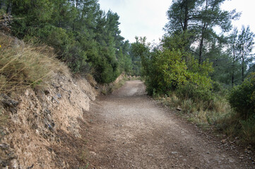 Fototapeta na wymiar trail in the Cabezon de Oro mountain, located in the Province of Alicante, Valencian Community, Spain