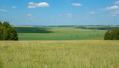 Obraz premium scenic panorama view across Salsibury Plain with meadows fields trees and a beautiful blue sky