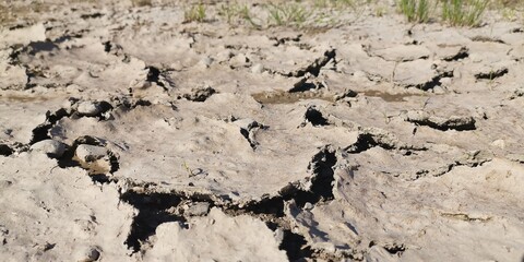 soil in the desert