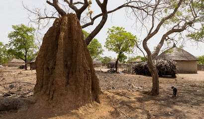 Termite hill bush village grass huts northern Ghana. Northern region of Ghana. Rural traditional mud and straw huts and buildings. Poverty economy. African tribal and native homes.