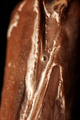 popsicle in chocolate ice cream