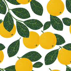 Seamless pattern with oranges on a white background. Summer fruits for a healthy lifestyle. Organic exotic fruit fruit. Print for fabrics, wallpapers, decorative pillows. 