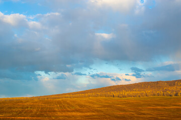 Fototapeta na wymiar Yellow field and beautiful clouds before the rain.