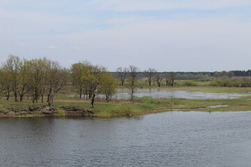 spilling the river in spring on the plain. The river came out of the banks. Natural phenomenon