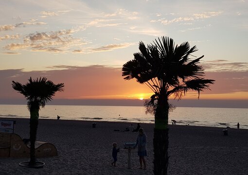 Tropensonne Bilder – Durchsuchen 7,853 Archivfotos, Vektorgrafiken und ... Tropensonne Bilder – Durchsuchen 7,853 Archivfotos, Vektorgrafiken und ...