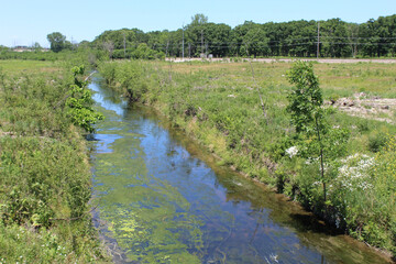 Fototapeta na wymiar West Fork of the North Branch of the Chjcago River at Somme Prairie Nature Preserve on a clear day