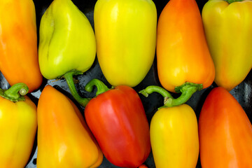 Sweet pepper on a black background
