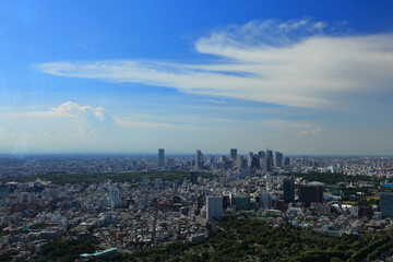 Fototapeta premium Tokyo 六本木ヒルズから新宿方面全景