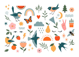 Set of nature vector design elements isolated on white background. Birds, floral and flower elements, fruit, insects and weather elements. - 439192332