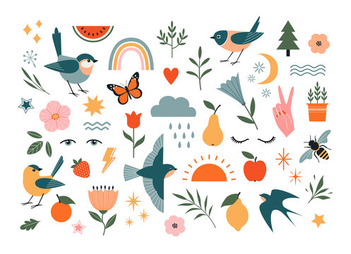 Set of nature vector design elements isolated on white background. Birds, floral and flower elements, fruit, insects and weather elements.