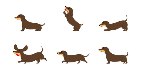 Dachshund dog various poses flat line graphic isolated