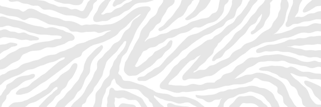 Vector abstract animalistic background. Freehand illustration of zebra skin print. Long horizontal banner.