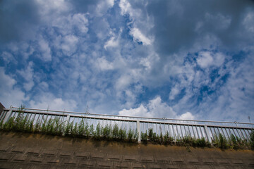 Fototapeta premium 橋と青空