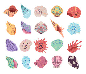 Tropical underwater seashell, clam, oyster shells. Hand drawn sea mollusk shellfish element. Vector flat graphic design illustration