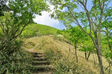 Fototapeta na wymiar Stairs in the mountain in Komagatake, Mt Akagi in Gunma, Japan. June 9, 2021.