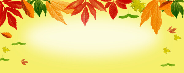 Falling autumn leaves stock photo. Autumn Background
