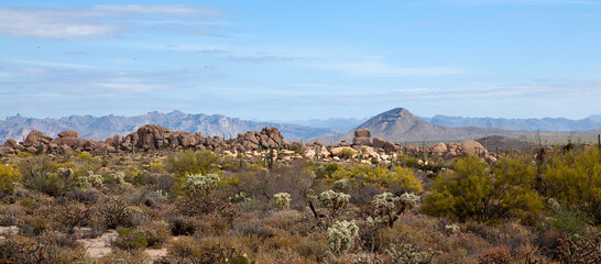 Arizona Desert Boulder Scape