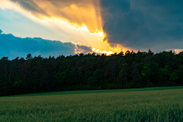 Obraz na płótnie Canvas Wald, Wiese, Feld, Sonnenuntergang, Abendrot, Wolken, Sonne