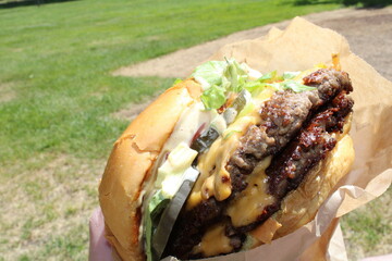 yummy double cheese burger 